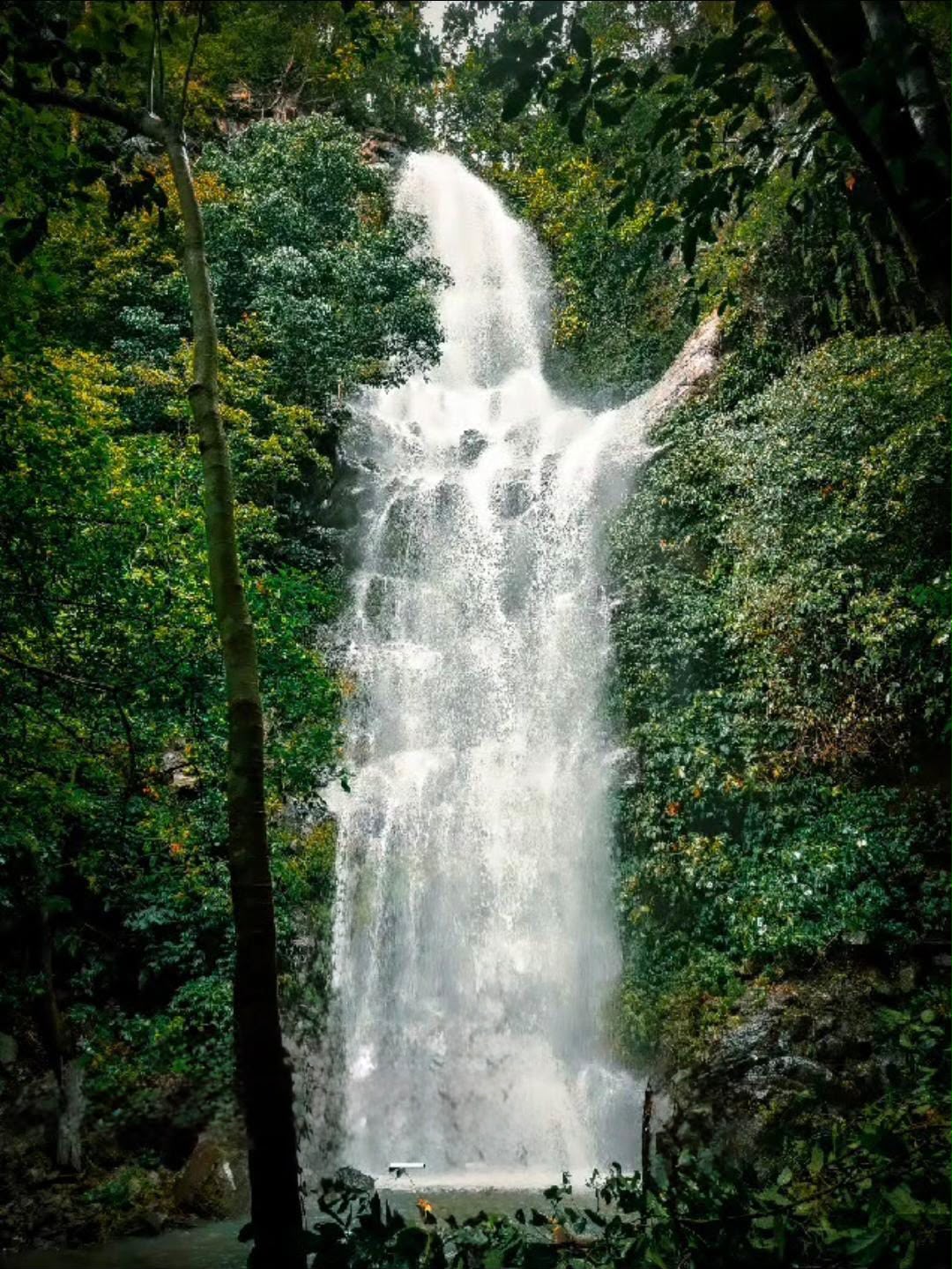 Wisata Puncak Jeringo